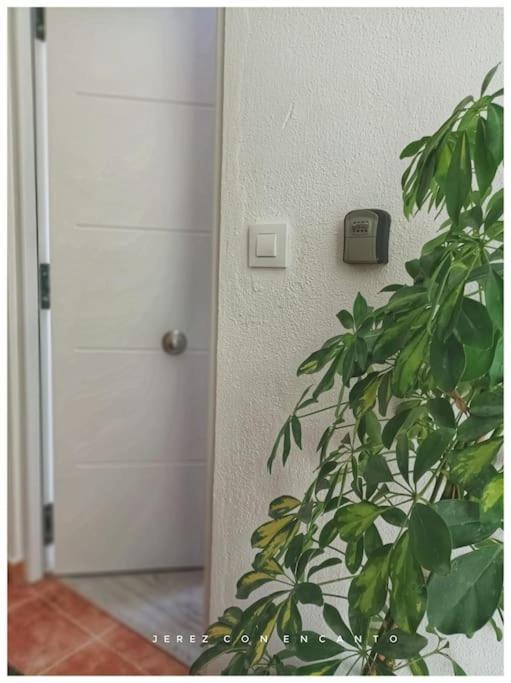 Appartamento Atico En Pleno Centro De Jerez Sin Ascensor Jerez de la Frontera Esterno foto